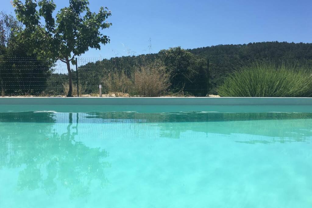 Bonheur - Provence - Cote D'azur Holiday home